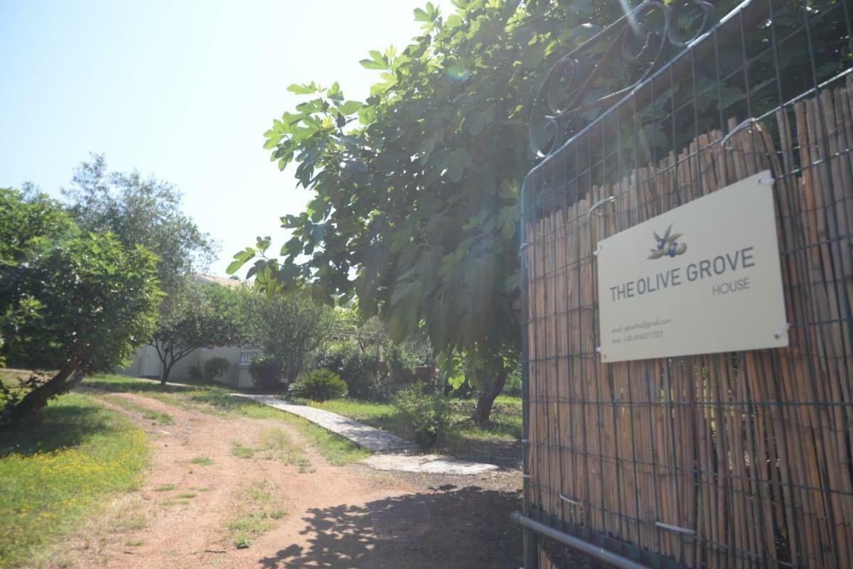 Villa The Olive Grove House Kassiopi Exterior foto